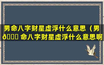 男命八字财星虚浮什么意思（男 🐎 命八字财星虚浮什么意思啊）